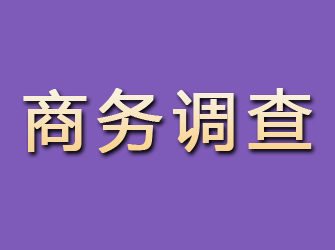 八道江商务调查